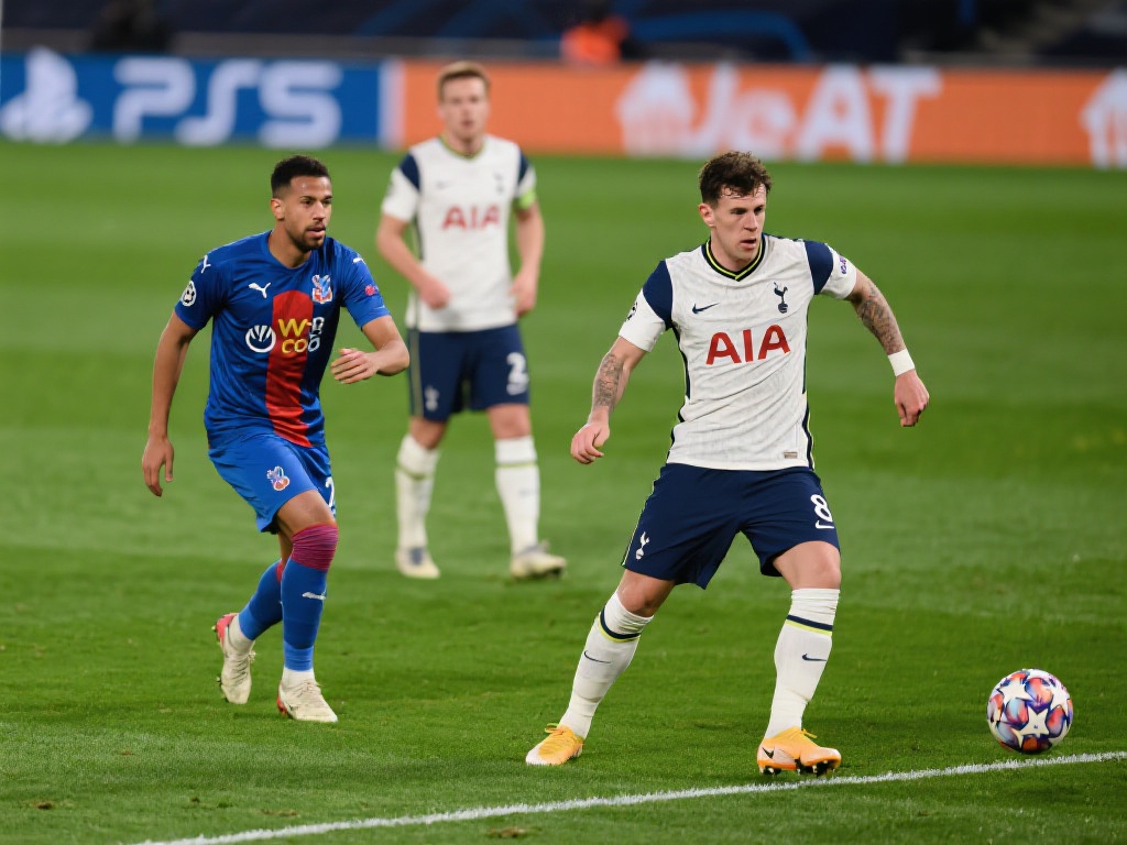 社会对体育 社会对体育