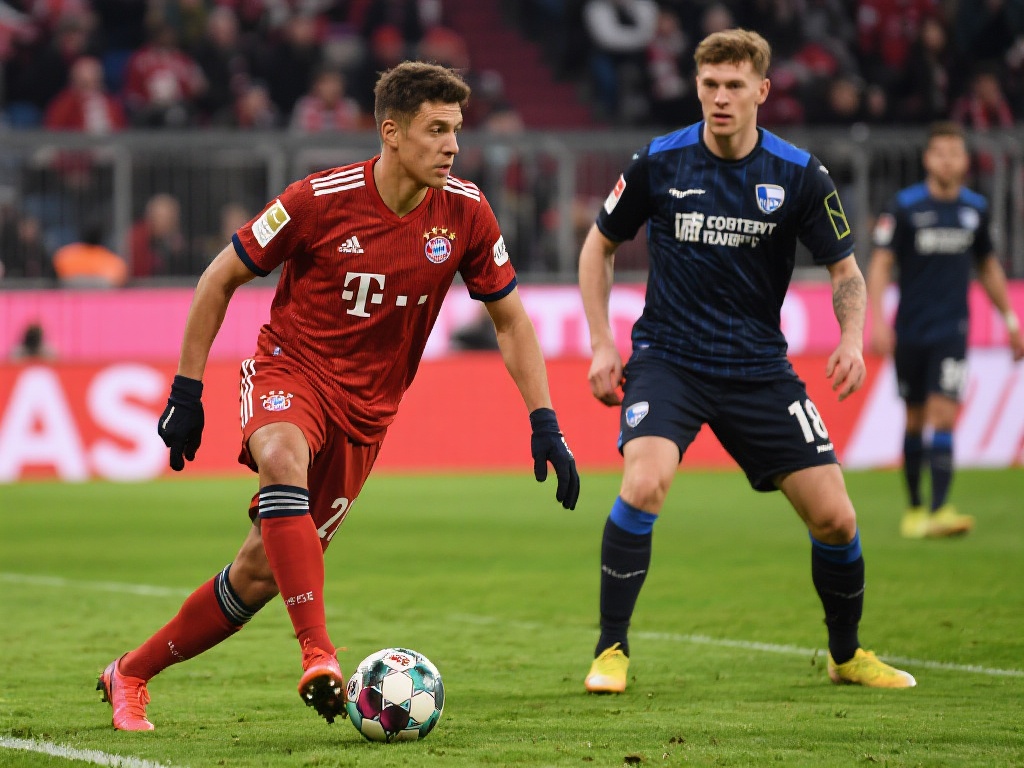 星空体育在 星空体育在